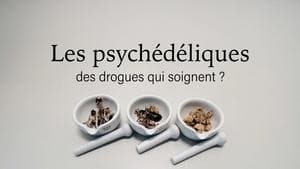 Les psychédéliques, des drogues qui soignent ? backdrop