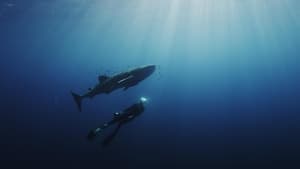 Swimming with Legends backdrop