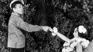 Waikiki Wedding backdrop