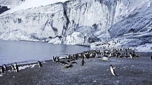 Antarctica: The Frozen Time backdrop