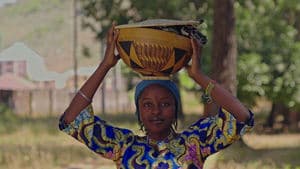 The Sahel Cuisine: Fura Da Nono backdrop