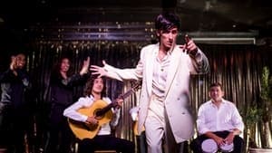 Wild Flamenco: Bambino's Story backdrop