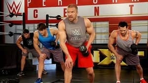 WWE Power Series: Triple H backdrop