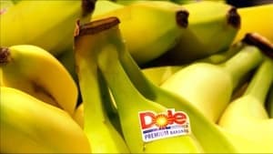 Big Boys Gone Bananas!* backdrop