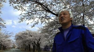 Alone in Fukushima backdrop