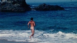 Big Sur Gay Porn backdrop