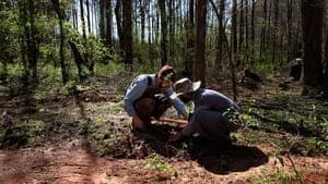 Atlanta Forest Garden: Four Days of Work backdrop