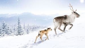 A Reindeer's Journey backdrop