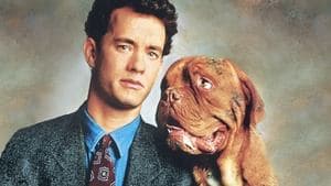 Turner & Hooch backdrop