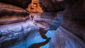 Into the Grand Canyon backdrop