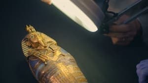 The True Story of King Tut's Tomb backdrop