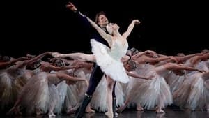 Tchaikovsky - Swan Lake backdrop