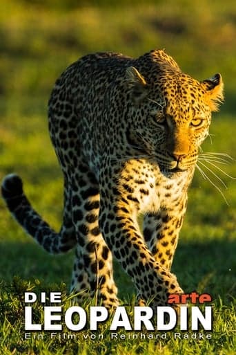 The Leopardess Poster