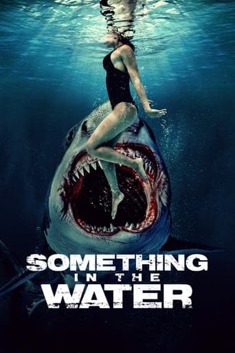 Something in the Water Poster