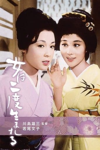 A Geisha's Diary Poster