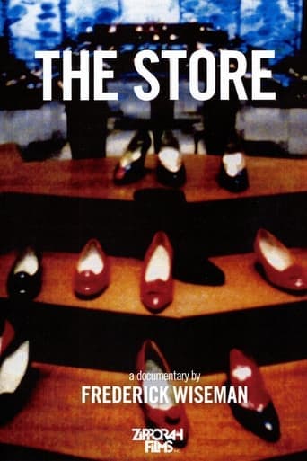 The Store Poster