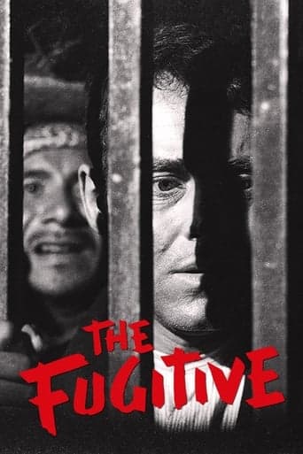 The Fugitive Poster