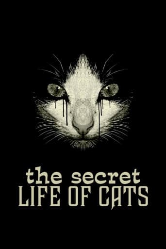 The Secret Life of Cats Poster