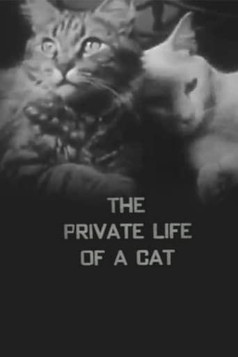 The Private Life of a Cat Poster