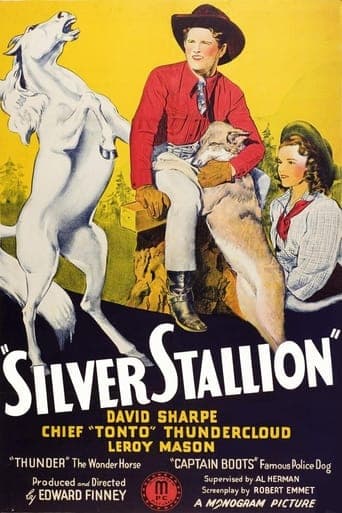 Silver Stallion Poster