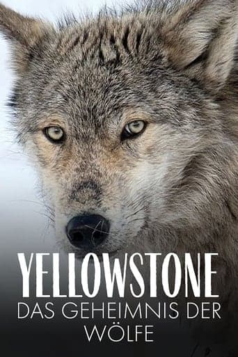 Yellowstone: The Mystery of the Wolves Poster