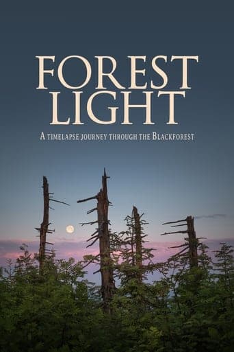 Forest Light Poster