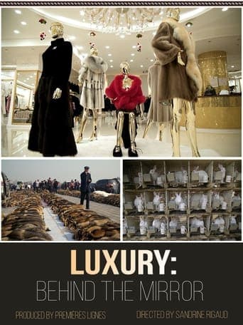 Luxury: Behind The Mirror Poster