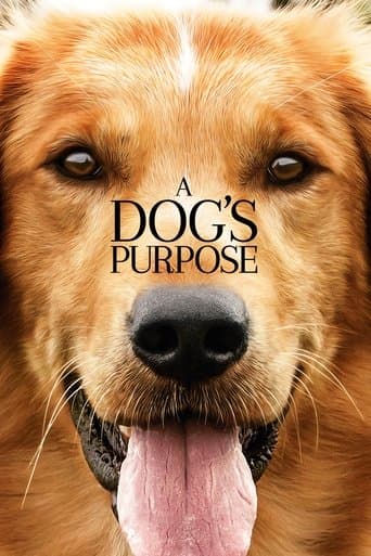 A Dog's Purpose Poster