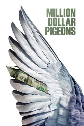 Million Dollar Pigeons Poster