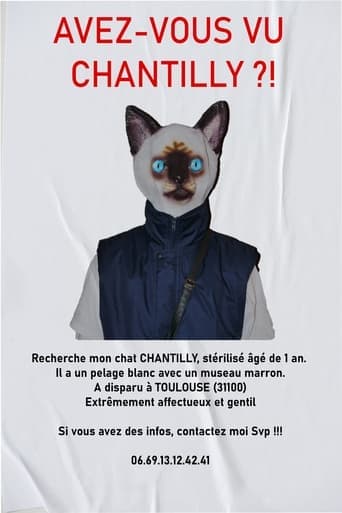 AVEZ-VOUS VU CHANTILLY ?! Poster