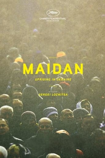 Maidan Poster