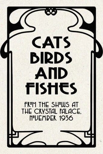 Cats, Birds and Fishes Poster