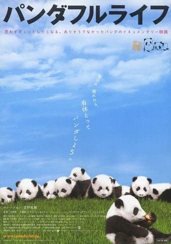 Panda Days Poster