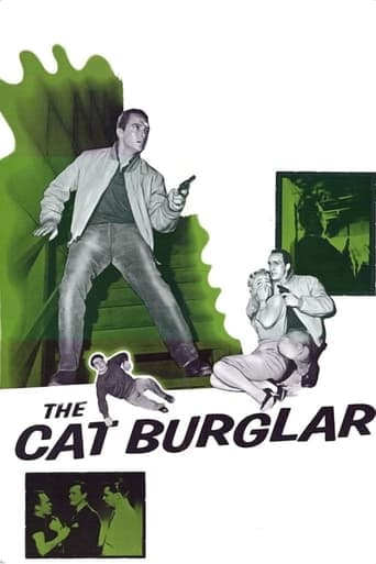 The Cat Burglar Poster