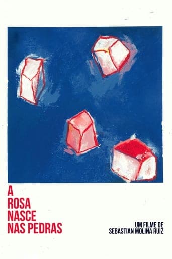 A Rosa Nasce Nas Pedras Poster