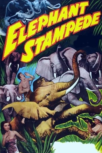 Elephant Stampede Poster