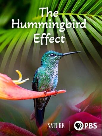 The Hummingbird Effect Poster