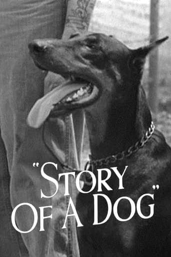 Story of a Dog Poster