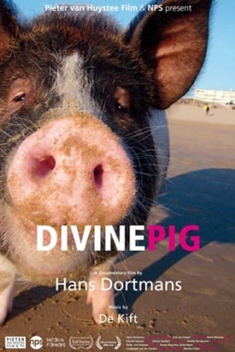 Divine Pig Poster