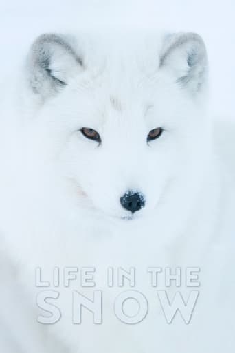 Life In The Snow Poster