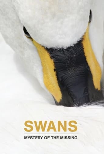 Swans: Mystery of the Missing Poster