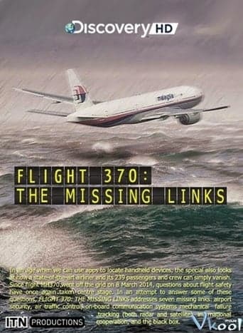 Flight 370: The Missing Links Poster