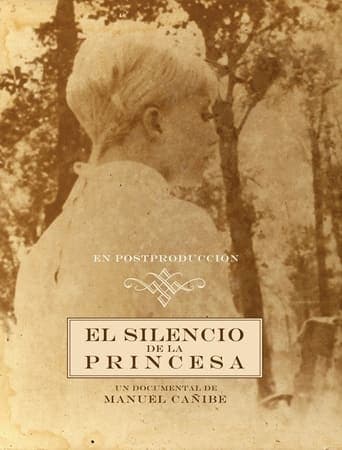 The Silence of the Princess Poster