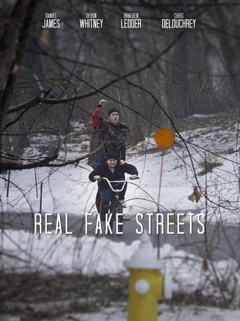 Real Fake Streets Poster