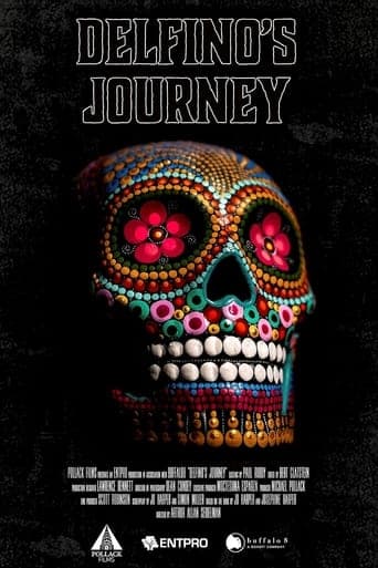 Delfino's Journey Poster