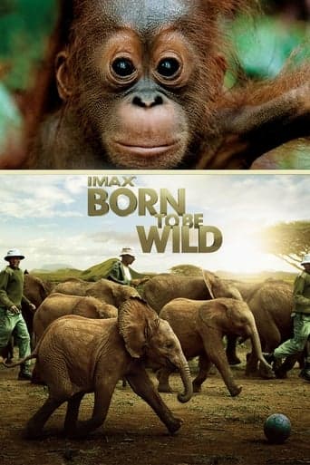 Born to Be Wild Poster