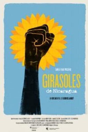 Sunflowers of Nicaragua Poster