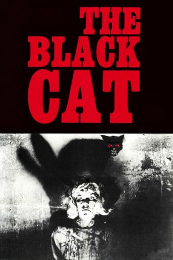 The Black Cat Poster