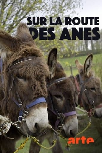 Sur la route des ânes Poster