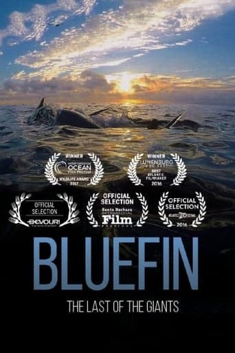 Bluefin Poster